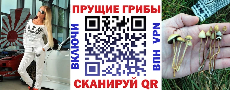 даркнет сайт  Костерёво  Псилоцибиновые грибы Magic Shrooms 